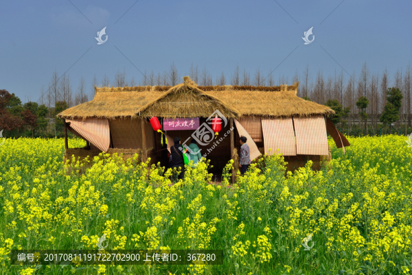 油菜花旅游景點(diǎn)