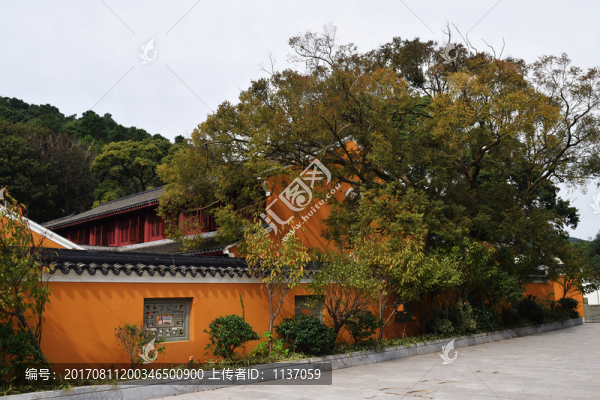 普陀山,悅嶺禪院