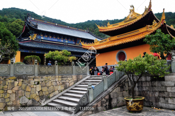 普陀山,法雨禪寺