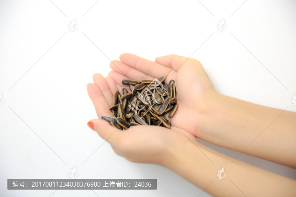 手捧,瓜子