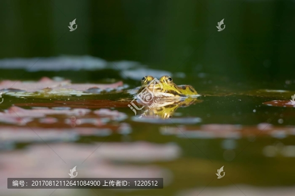 宏觀上