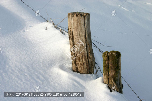 下雪了