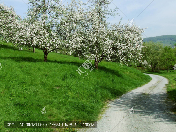 BLütenweg