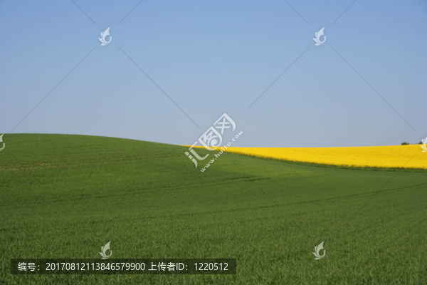 天然波2