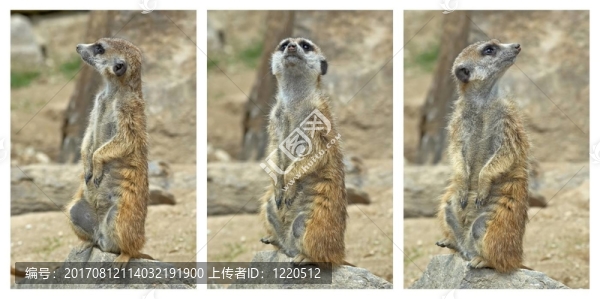 謹(jǐn)慎