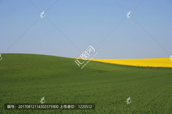 自然波2（重做）