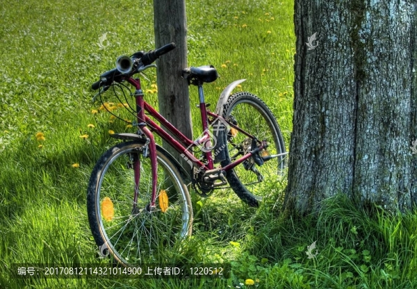 自行車
