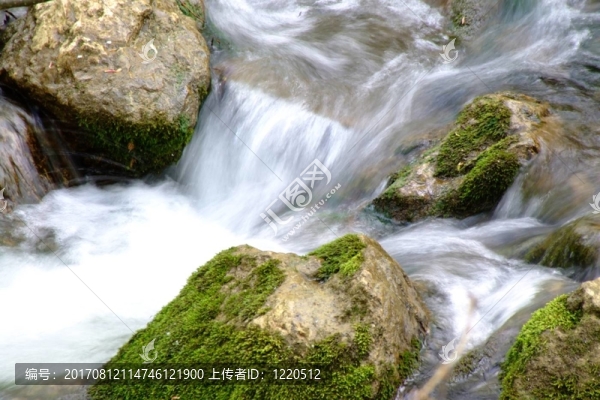 巴赫1