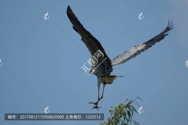回家