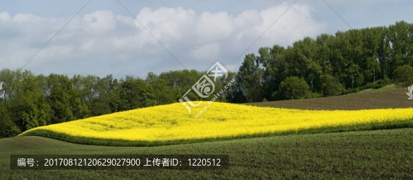 強(qiáng)奸浪潮