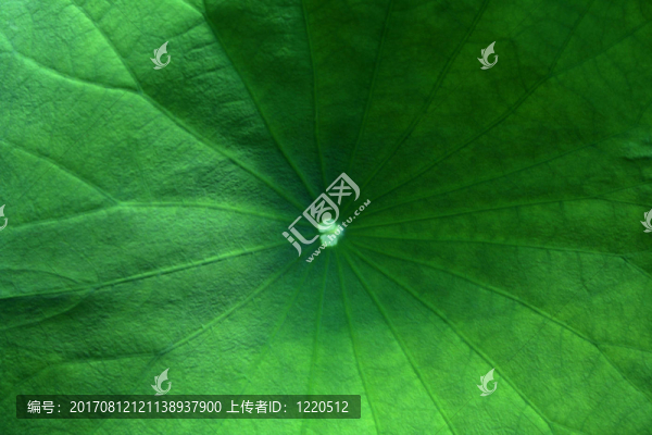 雜志中