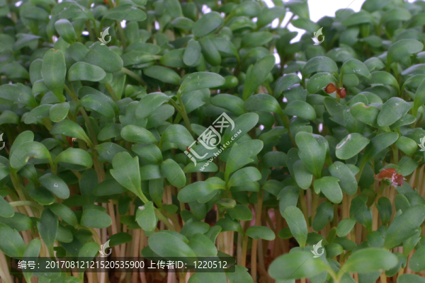 宏觀上