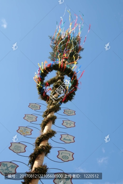 花柱