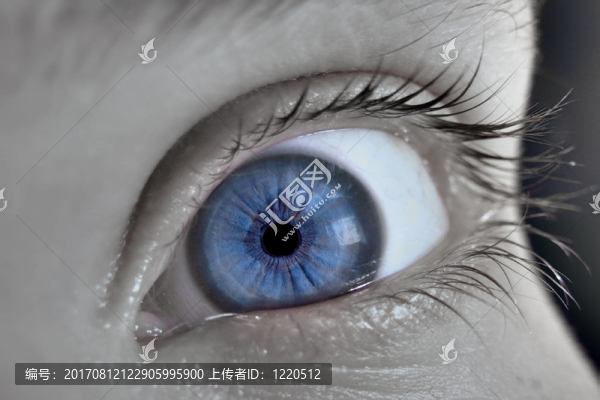 看法