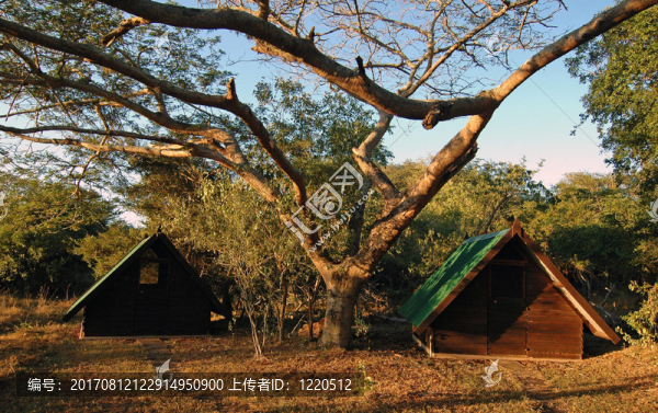 小屋