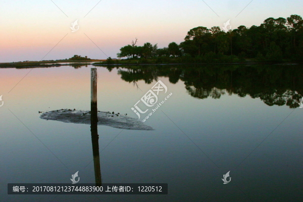 沼澤