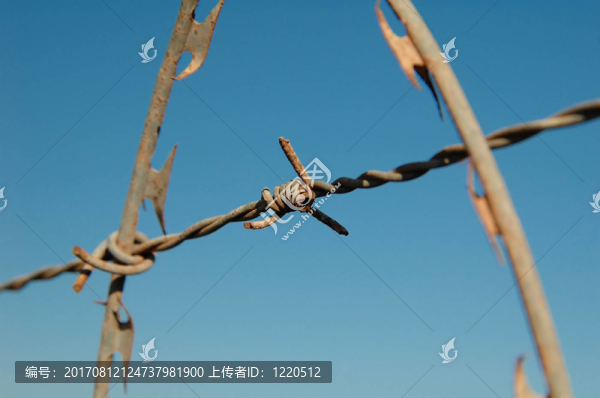 鐵絲網(wǎng)