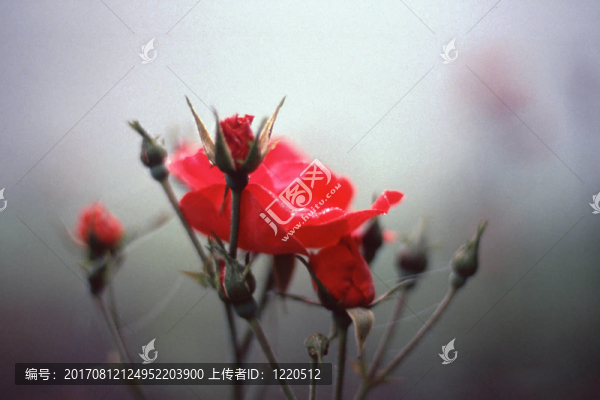霧中升起