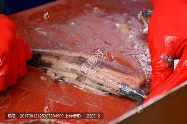食品