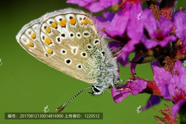 治療膀胱2