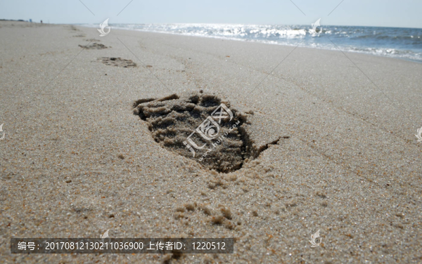 足跡