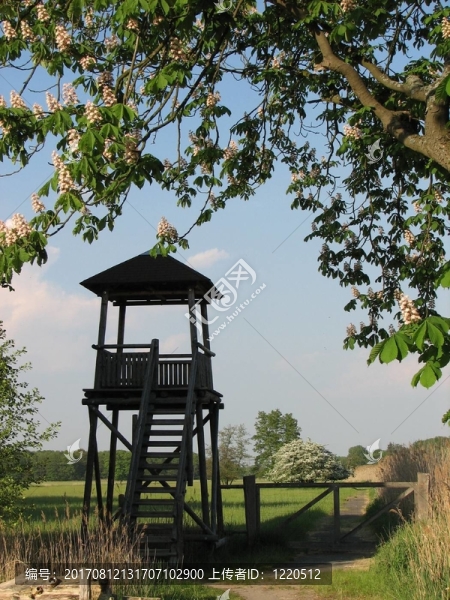 hochstand