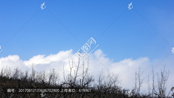 藍(lán)天白云,天空白云