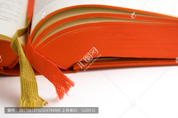 書呆子