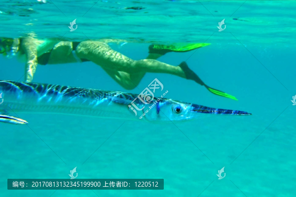 遇到