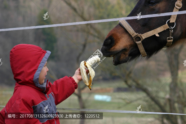 但只有香蕉…