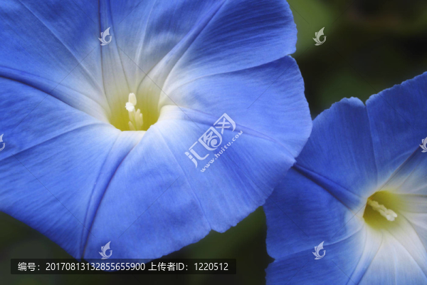 藍色
