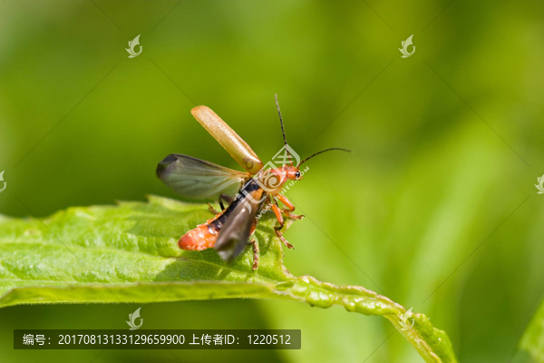 運(yùn)動(dòng)