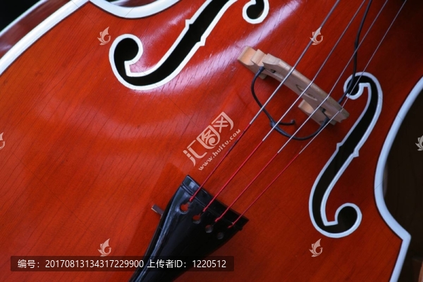 低音提琴