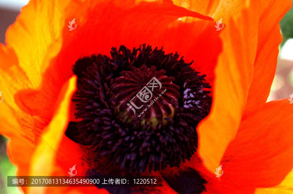 最里面的
