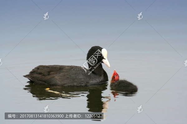 我愛你，媽媽