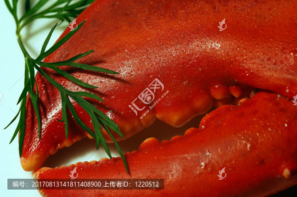 龍蝦