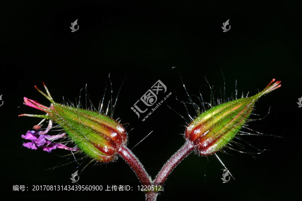 對稱性