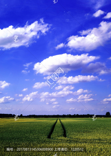 夏日的天空
