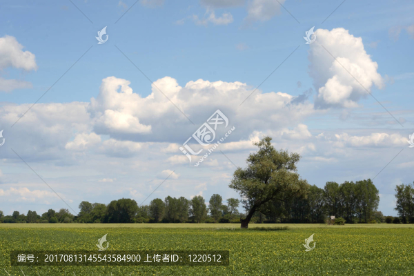 wolkenbild