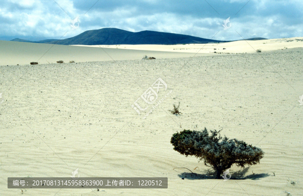 Las,Dunas,de科拉萊霍