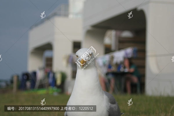 水域