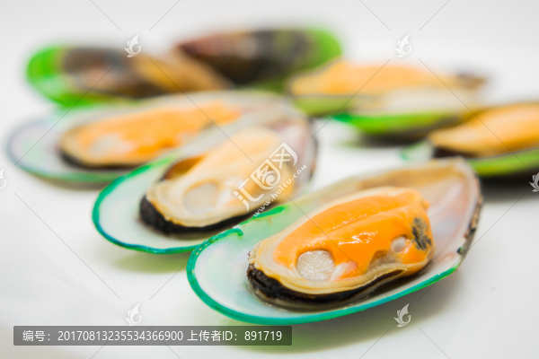 青口貝