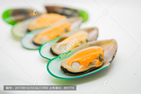 青口貝