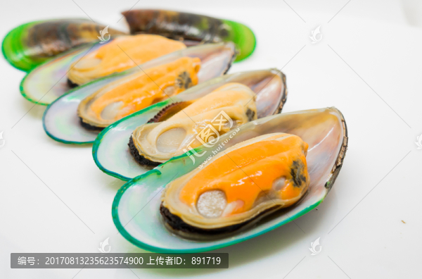青口貝