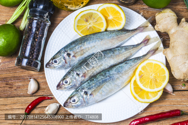 鯖魚