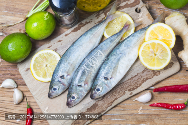 鯖魚(yú)