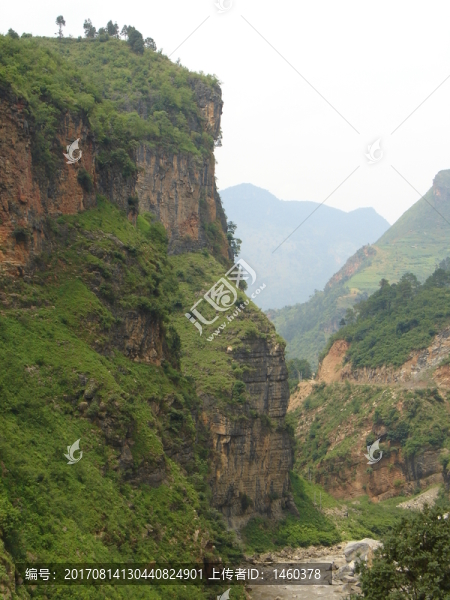 山
