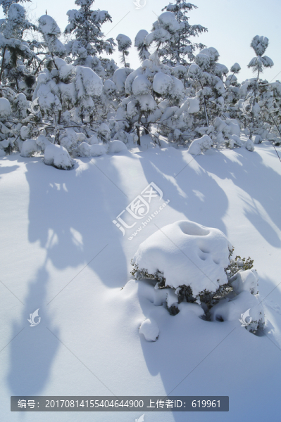 白雪