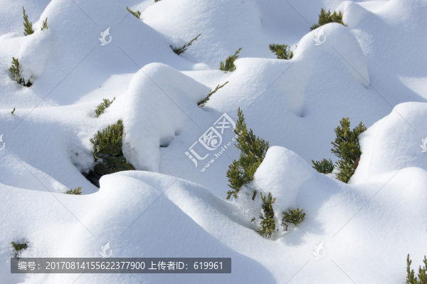 白雪