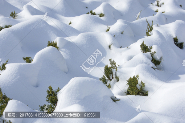 白雪